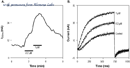 Alomone Labs STM-250 image 1