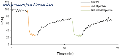 Alomone Labs STM-250 image 2