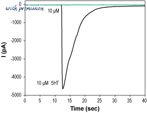 Alomone Labs STM-550-AG image 1
