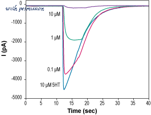 Alomone Labs STT-150 image 1