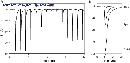 Alomone Labs STT-200 image 1