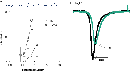 Alomone Labs STT-200 image 2