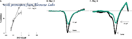 Alomone Labs STT-350 image 1