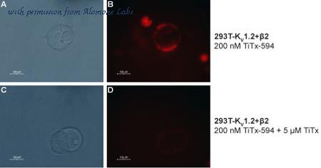 Alomone Labs STT-360-AR image 3
