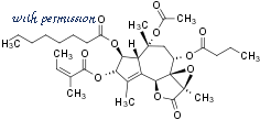 Alomone Labs T-670 image 1