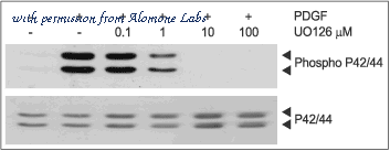 Alomone Labs U-400 image 2