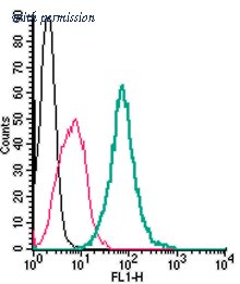 Alomone Labs ACR-062-F image 1