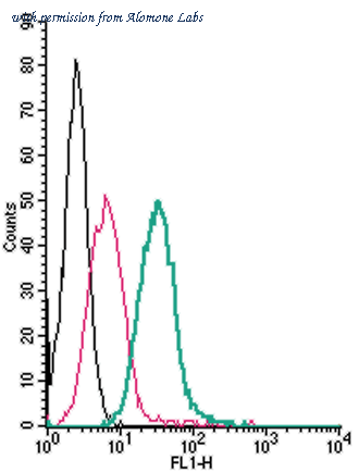 Alomone Labs AGR-051-F image 1