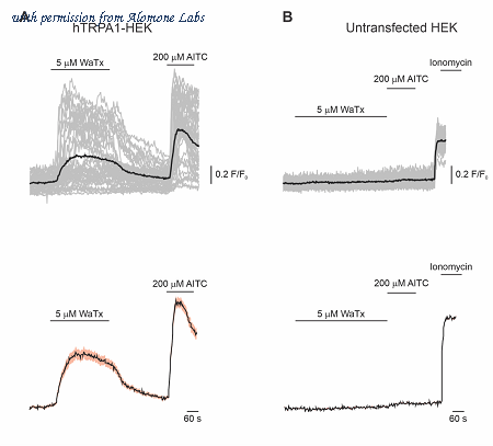 Alomone Labs STW-200 image 1
