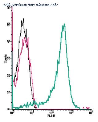 Alomone Labs BLP-CC314 image 1