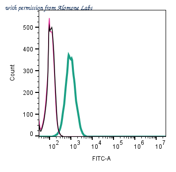 Alomone Labs ABR-013 image 3