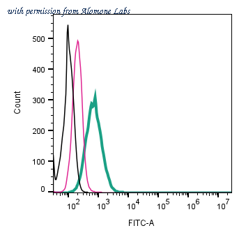 Alomone Labs ACC-139-F image 1