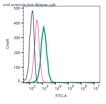 Alomone Labs ACC-142-F image 1