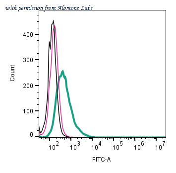 Alomone Labs ACC-142-F image 2