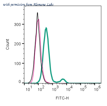Alomone Labs ACR-072-F image 1