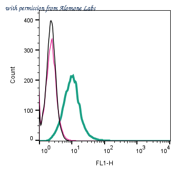 Alomone Labs ACT-021 image 3