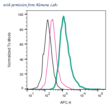 Alomone Labs AGR-042-APC image 1
