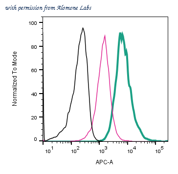 Alomone Labs AGR-042-APC image 2