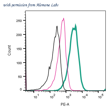 Alomone Labs AGR-054-PE image 1