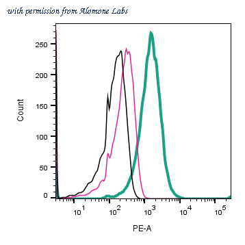 Alomone Labs AGR-054-PE image 2