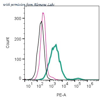 Alomone Labs AGT-043-PE image 1