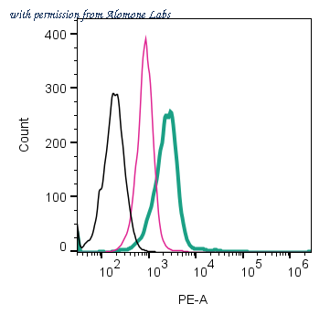Alomone Labs AGT-043-PE image 2