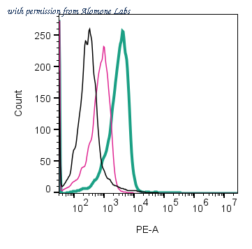 Alomone Labs AGT-043-PE image 3