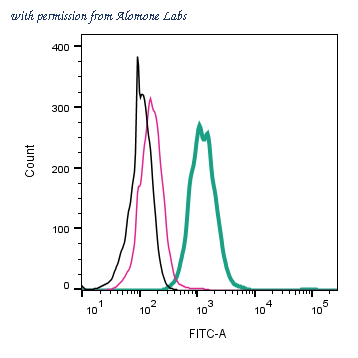 Alomone Labs ALR-062-F image 1