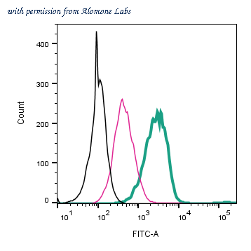 Alomone Labs ALR-062-F image 2