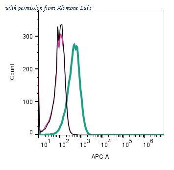 Alomone Labs AMR-072 image 2