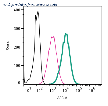 Alomone Labs ANR-018-APC image 2