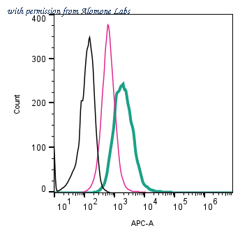 Alomone Labs ANR-018-APC image 3