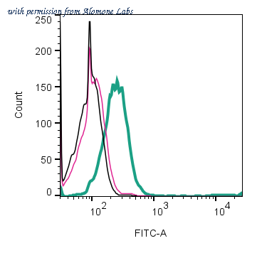 Alomone Labs ANR-182 image 3