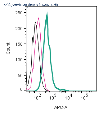 Alomone Labs ANR-208 image 3