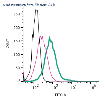 Alomone Labs ANR-209-F image 2