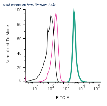 Alomone Labs ANR-209-F image 3