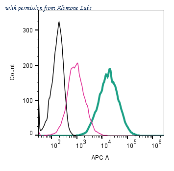 Alomone Labs ANR-210-APC image 2
