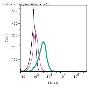 Alomone Labs ANR-210-F image 2