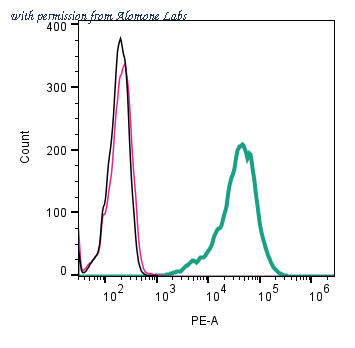 Alomone Labs ANR-210-PE image 1