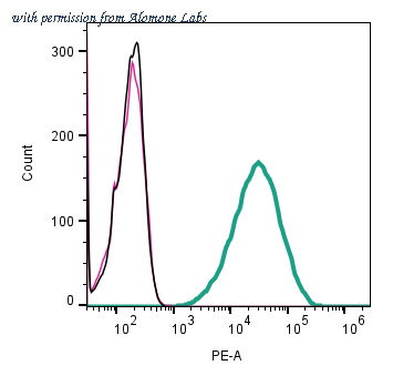 Alomone Labs ANR-210-PE image 2
