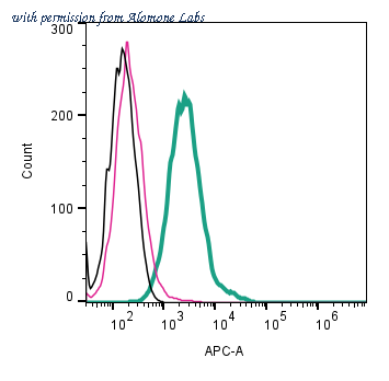 Alomone Labs APC-087-APC image 1