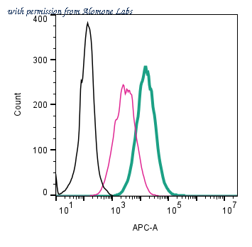 Alomone Labs APC-087-APC image 2