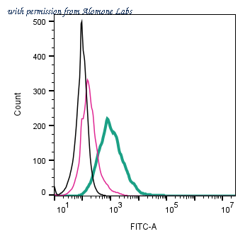 Alomone Labs APC-087-F image 1