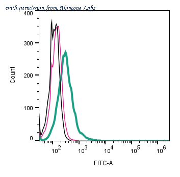 Alomone Labs APC-087-F image 2