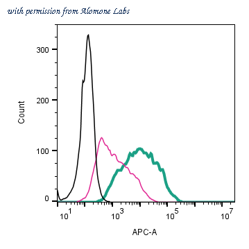 Alomone Labs APR-022-APC image 2