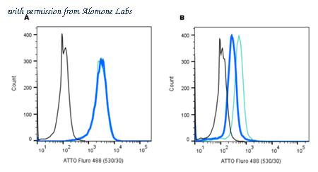 Alomone Labs RIC-001-AG image 2