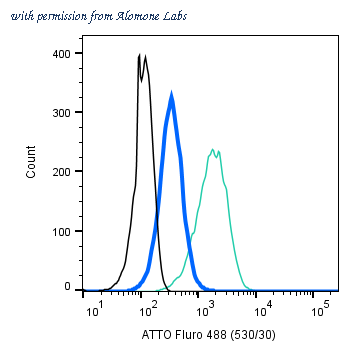 Alomone Labs RIC-001-AG image 3
