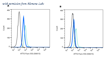 Alomone Labs RIC-001-AO image 3