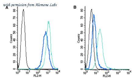 Alomone Labs RIC-001-PE image 1