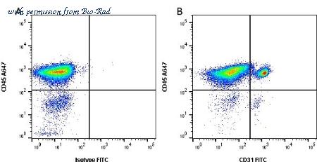Bio-Rad MCA1746B image 1